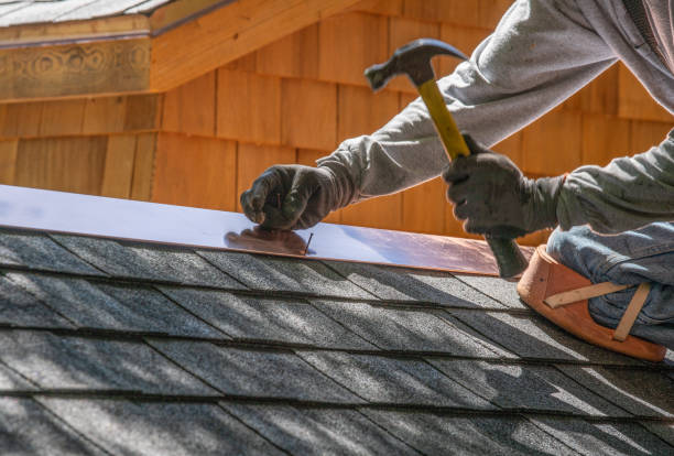 Best Skylight Installation and Repair  in Orange Grove, TX