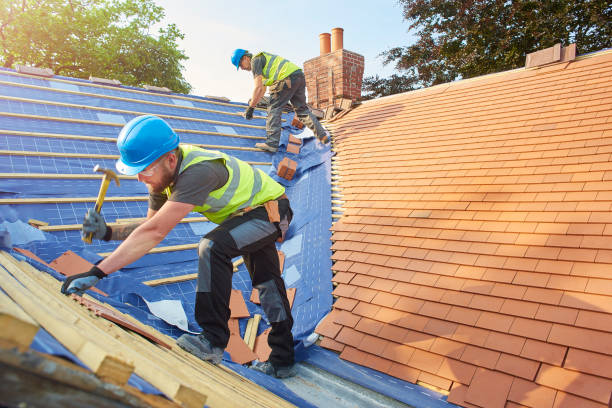 Best Gutter Installation and Repair  in Orange Grove, TX